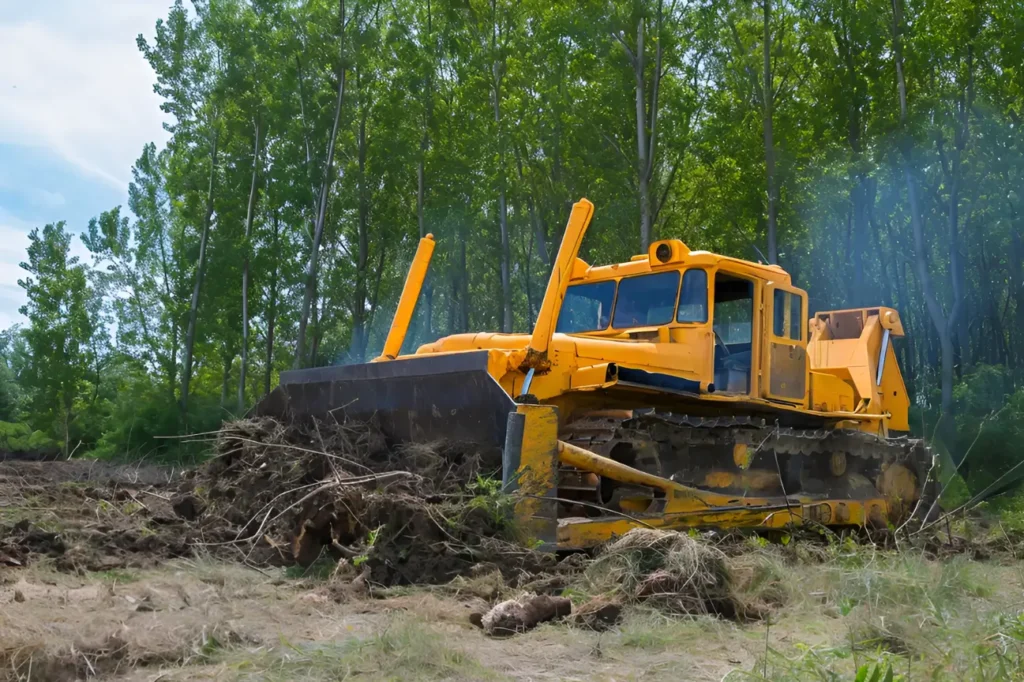 At Land Clearing Auckland, this welcome banner introduces our about us message, highlighting our role as local experts in safe, simple, and reliable land clearing services.