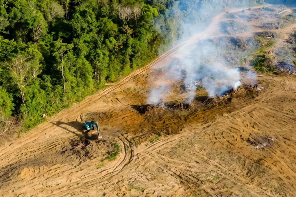 At Land Clearing Auckland, this about us graphic highlights why clients choose our reliable and professional land clearing services.