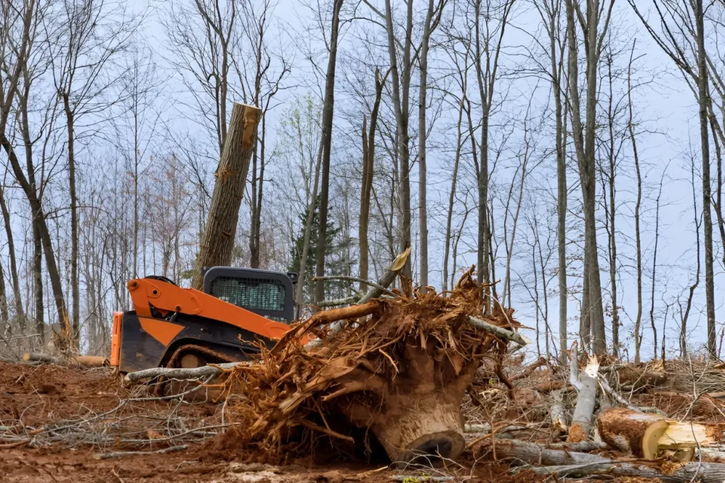 At Land Clearing Auckland, this image shows what our land clearing specialists in Auckland bring to your project.