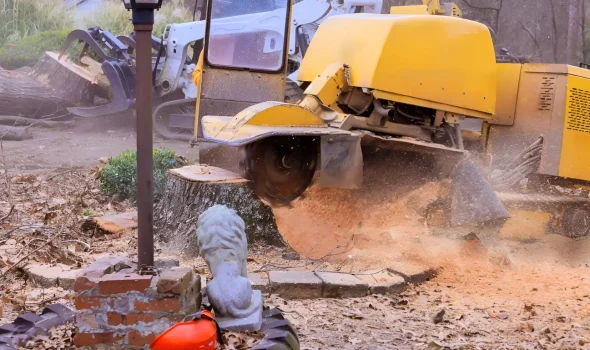 Clear Communication and a Friendly Team Stump Grinding Auckland At Stump Grinding Auckland, this image features clear communication and a friendly team.