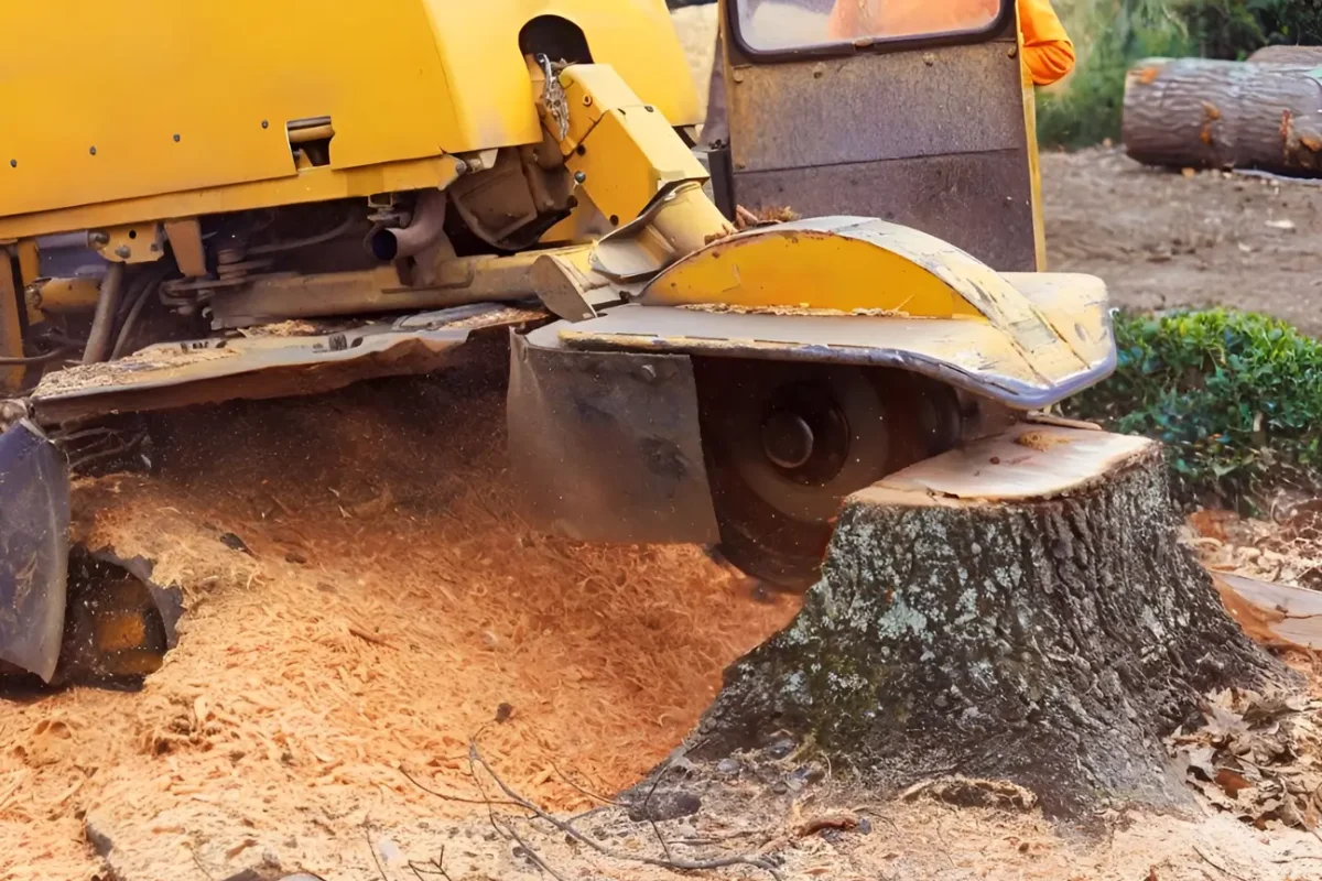 At Land Clearing Auckland, this about us visual showcases our extensive experience, demonstrating the skill, reliability, and professionalism reflected in every job we complete.