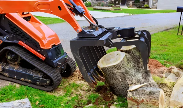 Fast and Efficient Stump Grinding Stump Grinding Auckland At Stump Grinding Auckland, this image highlights our fast and efficient stump grinding services.